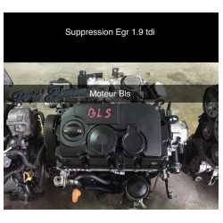 Suppression Egr 1.9 tdi gen 3 Bls