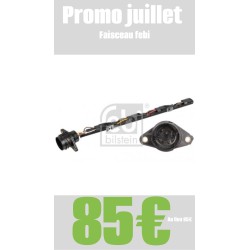 Promo juillet Faisceau...