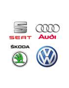 audi / seat / skoda / vw